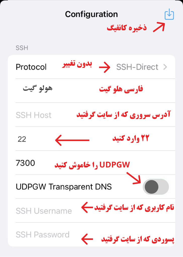 انتخاب کانکشن در نپسترنت 4